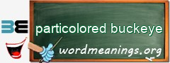 WordMeaning blackboard for particolored buckeye